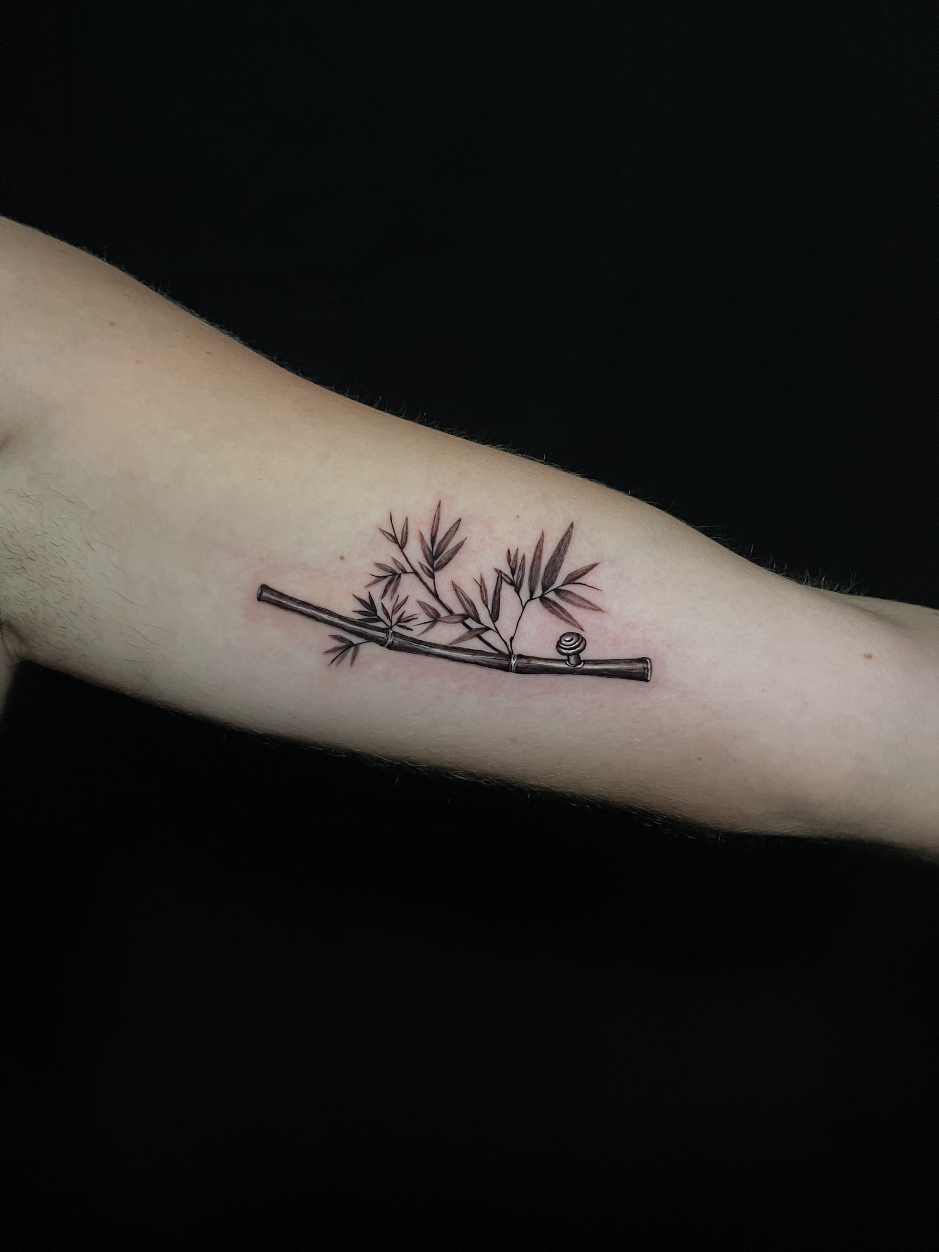 Trang chủ z6324091502530 dc5c4d095d2b908b1c7f2ff2ab34d4ad