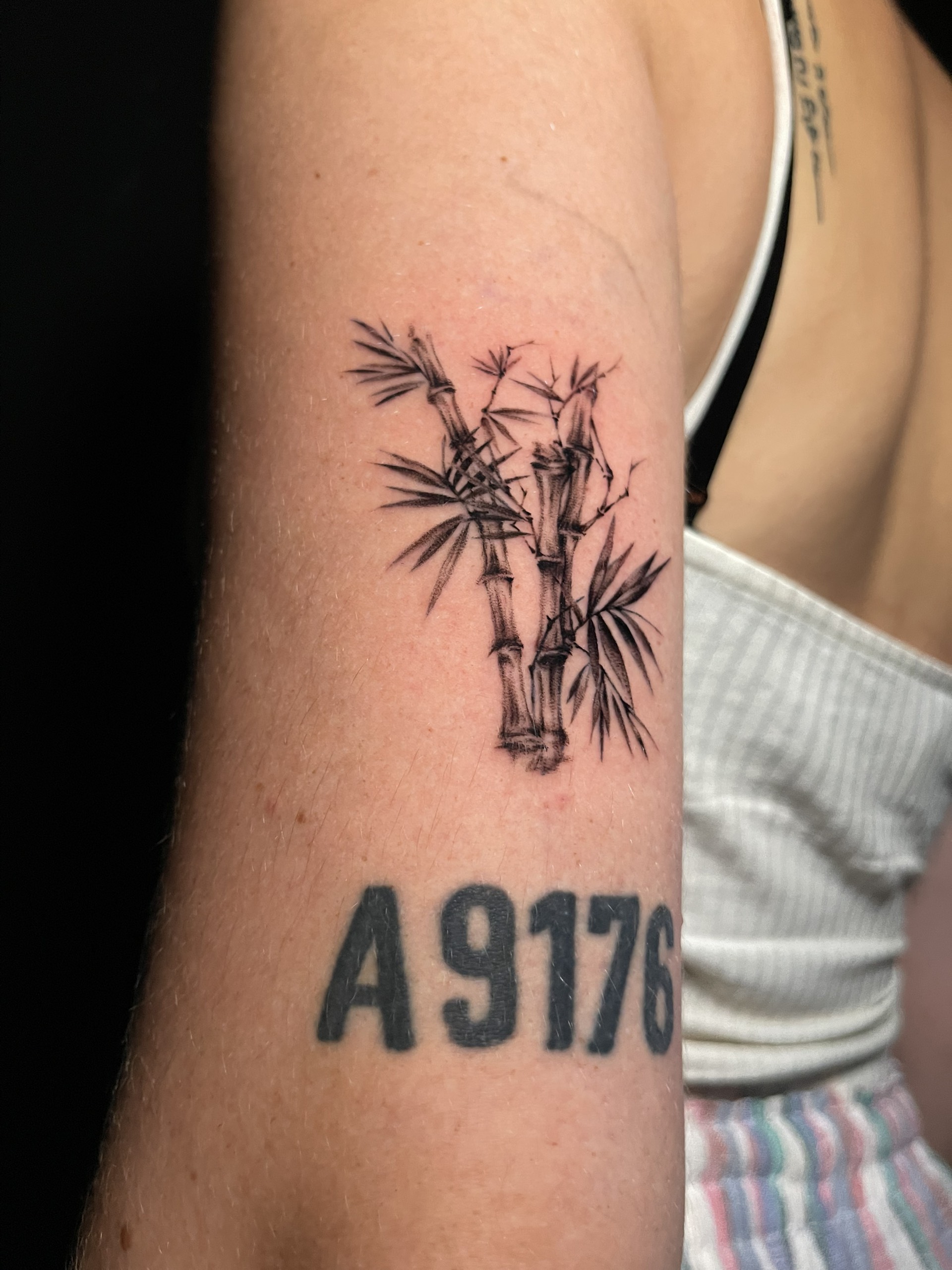 Trang chủ z6324095881321 4499450af30cf2f200323da38e948b14