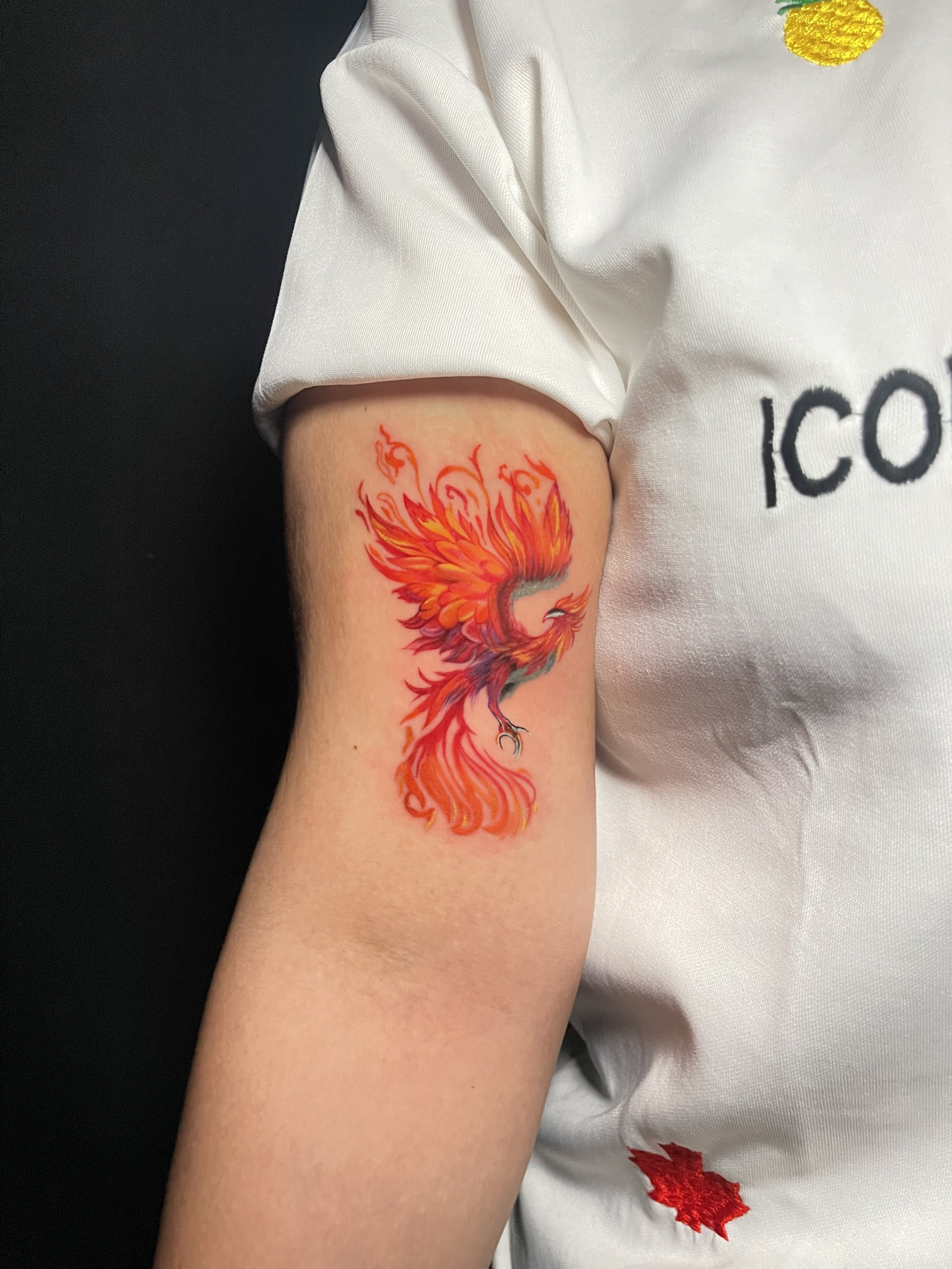 Trang chủ z6324095887126 4e7cbb9a9a143de03817808735b23208